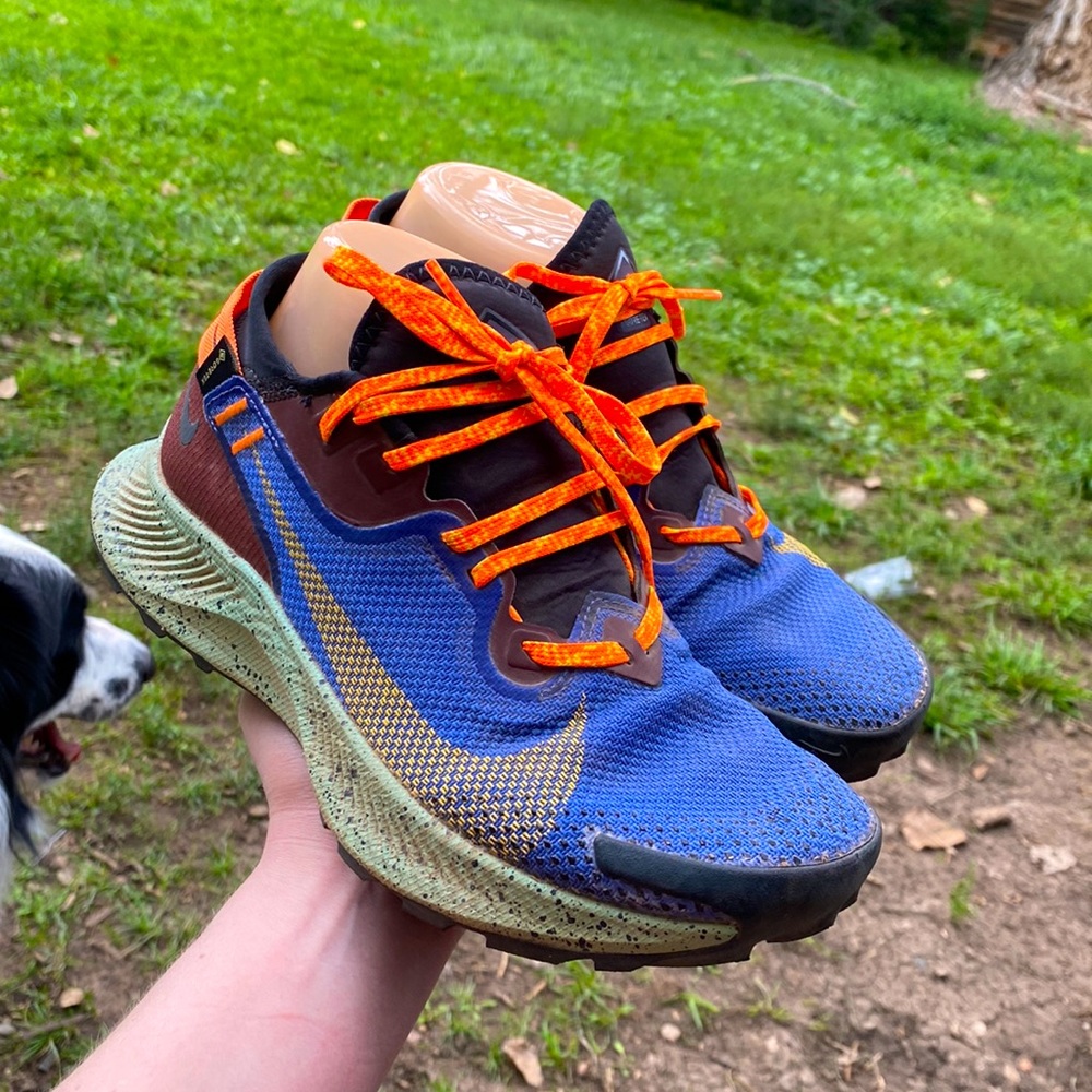 Nike trail Pegasus gtx sneakers lace up runners